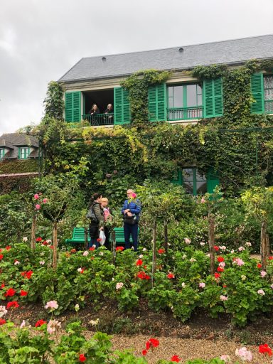 Maison recouverte de feuillage vert