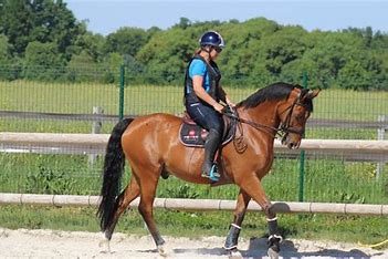 Image d'une personne à cheval