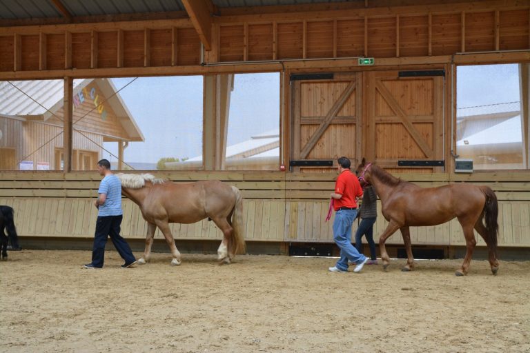 Album de photos, Deauville 2015